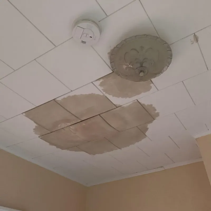 Ceiling Water Damage Repair in Teaneck, NJ
