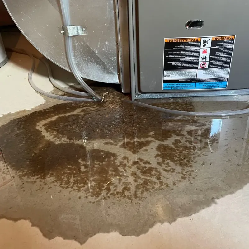 Pipe Burst and Leak Restoration in Teaneck, NJ