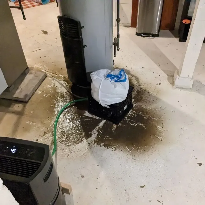 Sewage Backup Cleanup Service in Teaneck, NJ